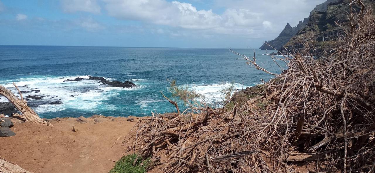 Вилла Playa Y Montana: Naturaleza Y Armonia Сан-Кристобаль-де-Ла-Лагуна Экстерьер фото