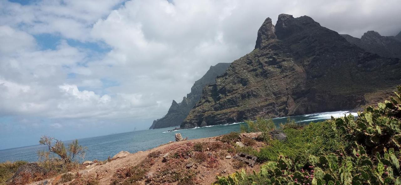 Вилла Playa Y Montana: Naturaleza Y Armonia Сан-Кристобаль-де-Ла-Лагуна Экстерьер фото